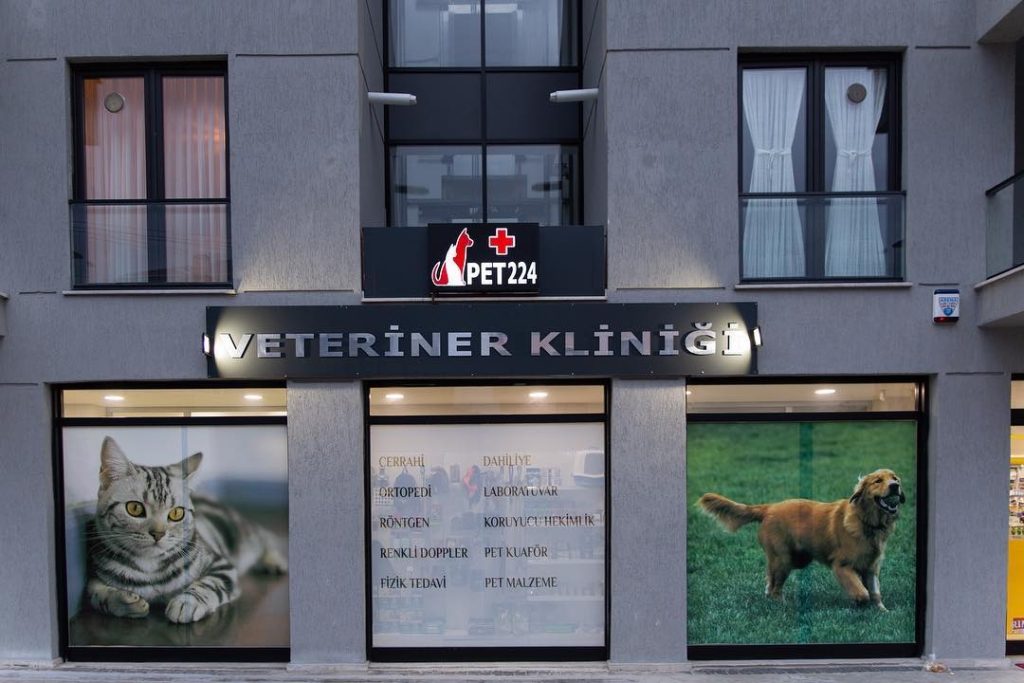 Pet242 - Bursa Veteriner Kliniği